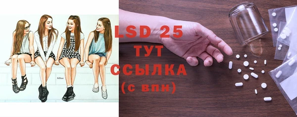 гашик Белая Холуница