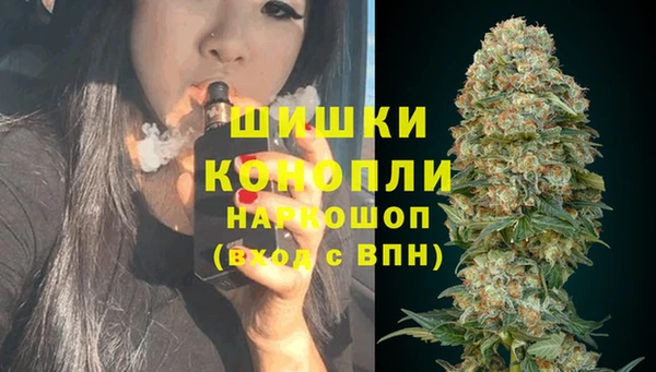 гашик Михайловск