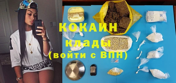 сатива Мегион
