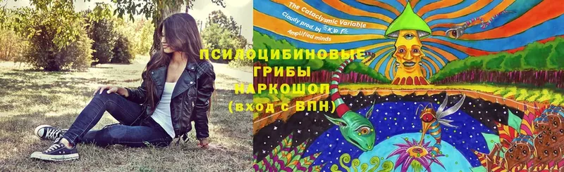 Галлюциногенные грибы Magic Shrooms  Нижняя Тура 