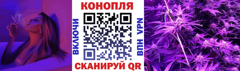 Канабис планчик  гидра ONION  Нижняя Тура 